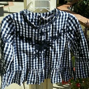 Zara Navy Gingham Embroidered Top